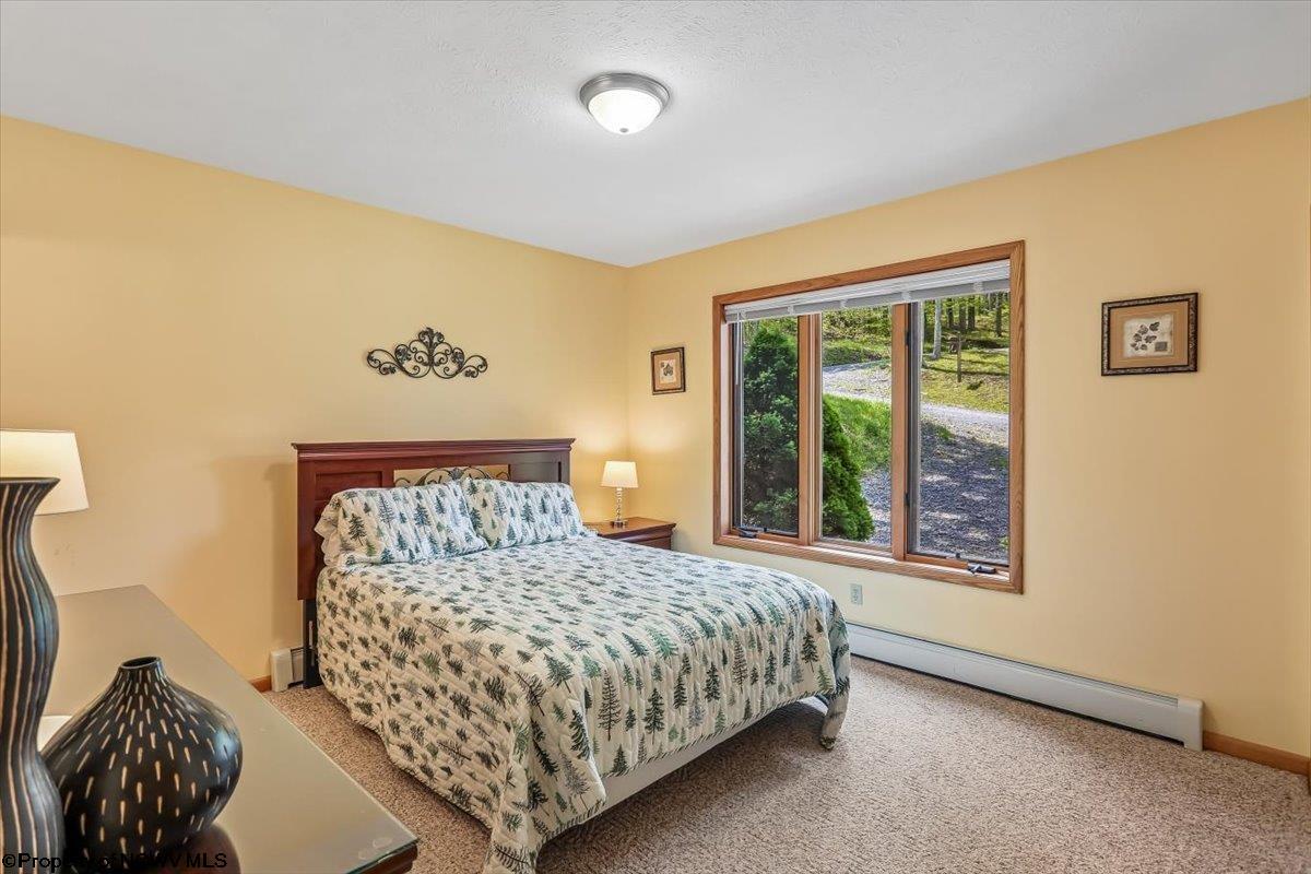 303 Slopeside Road Davis, WV 26260 - Photo 15 of 43 Gallery Image 15