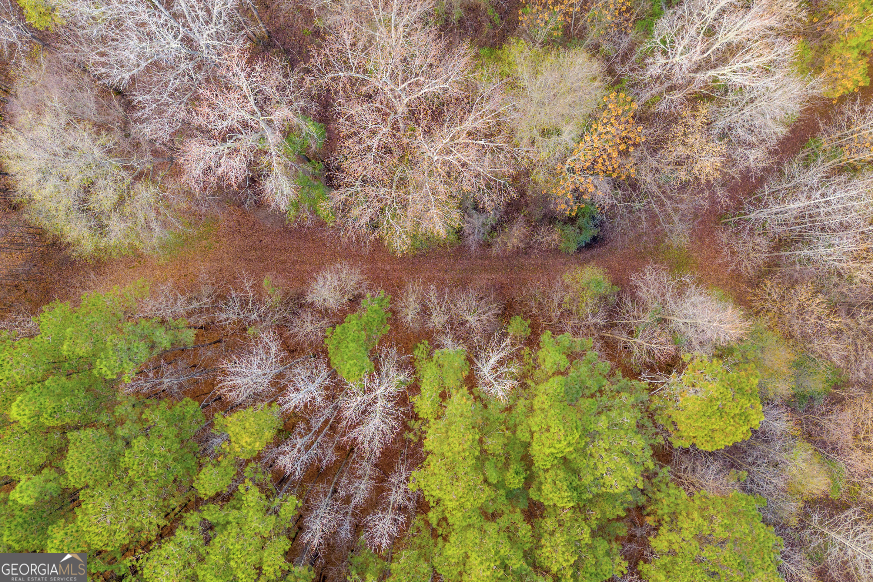 375 Highway 78 Monroe, GA 30656 - Photo 11 of 13 a yard with a house