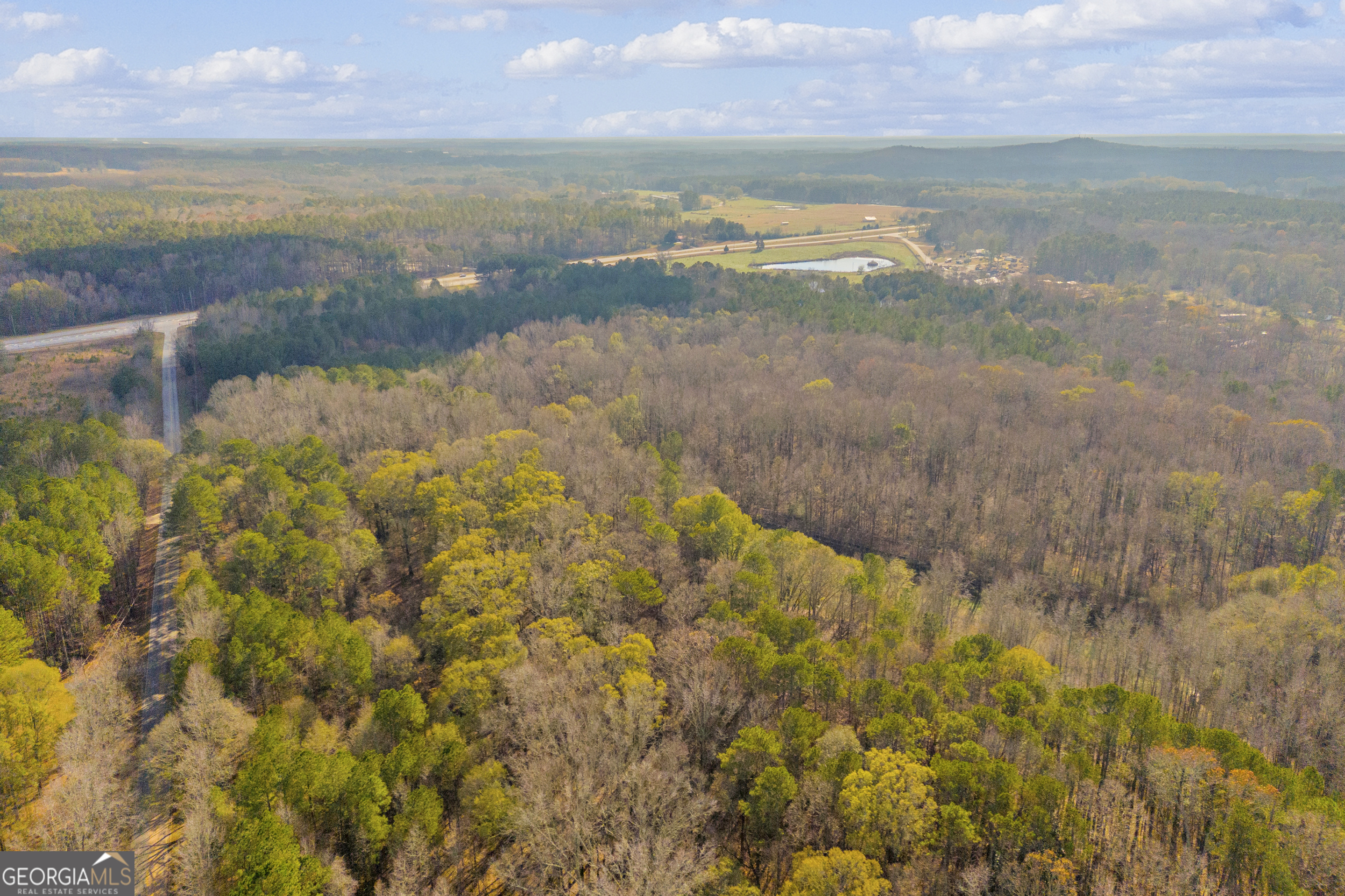 375 Highway 78 Monroe, GA 30656 - Photo 9 of 13 a view of a lake from a yard