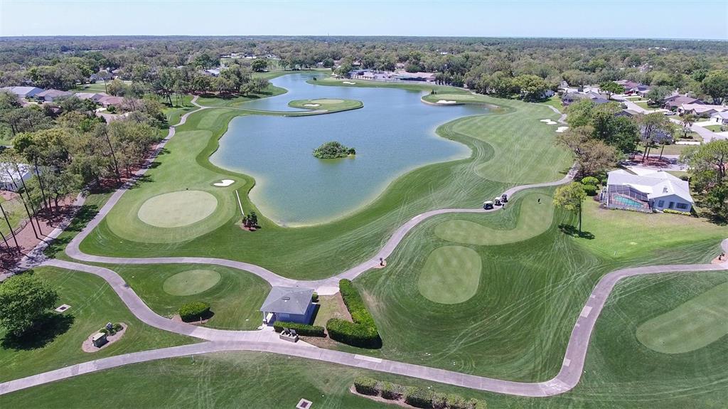 2676 Royal Ridge Drive Spring Hill, FL 34606 - Photo 42 of 49