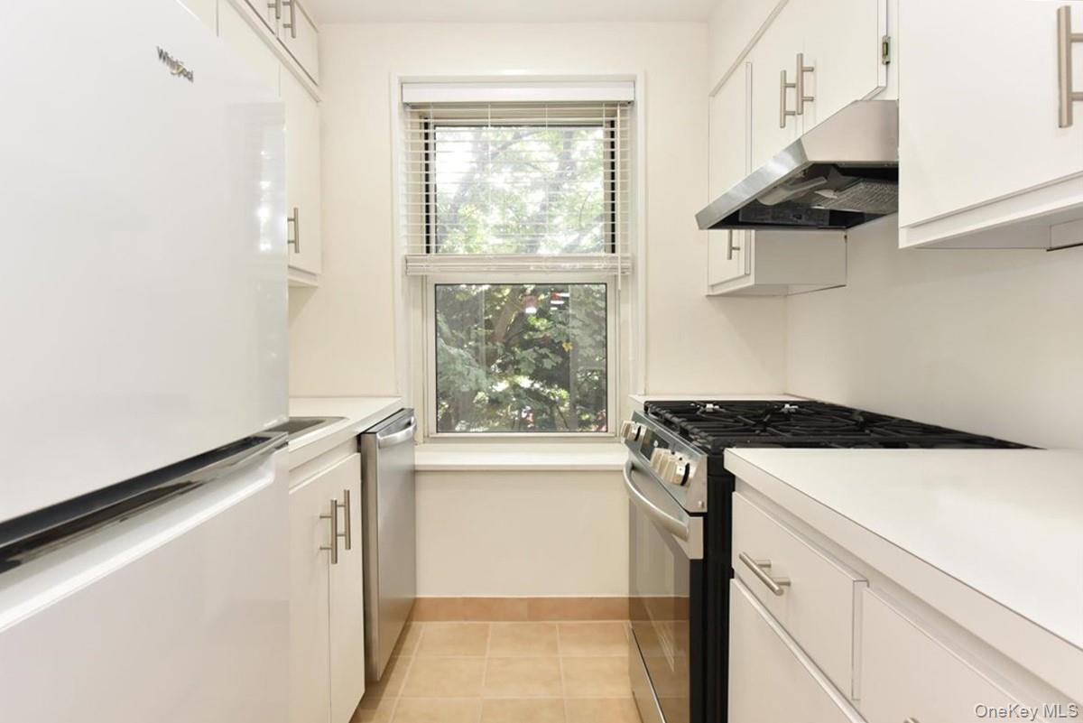 195 South Middle Neck Road, Unit 2L Great Neck, NY 11021 - Photo 13 of 22 Kitchen with Window