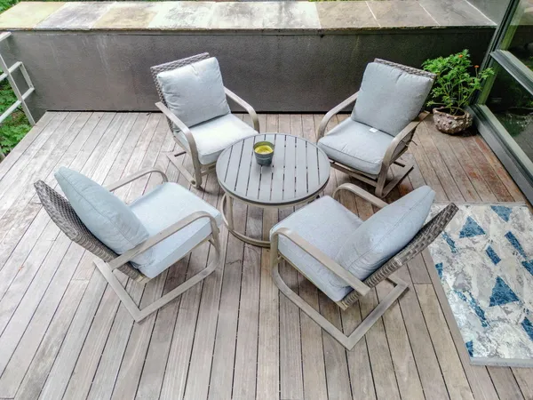 a view of a garden with plants and large trees