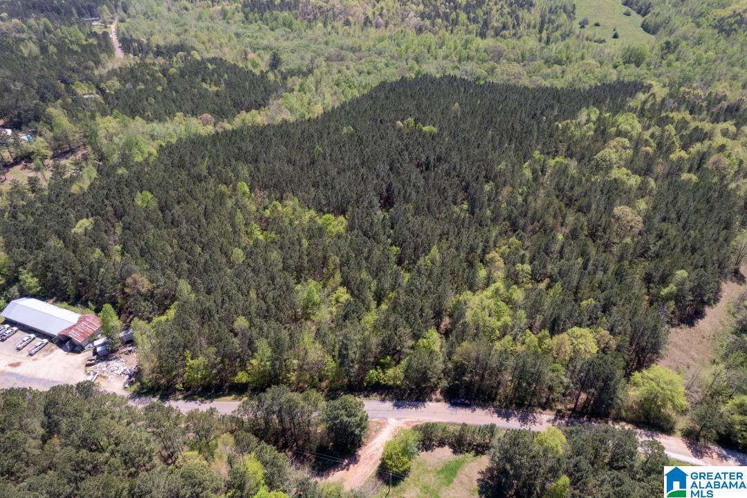 0 County Road 204, Unit 1 Heflin, AL 36264 - Photo 9 of 9
