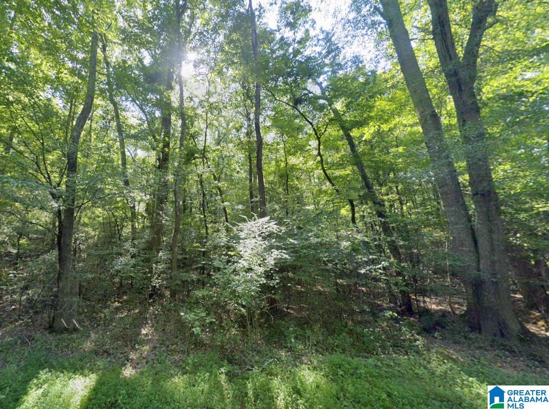 0 Stewart Hollow Road Grant, AL 35747 - Photo 5 of 6 Gallery Image 5