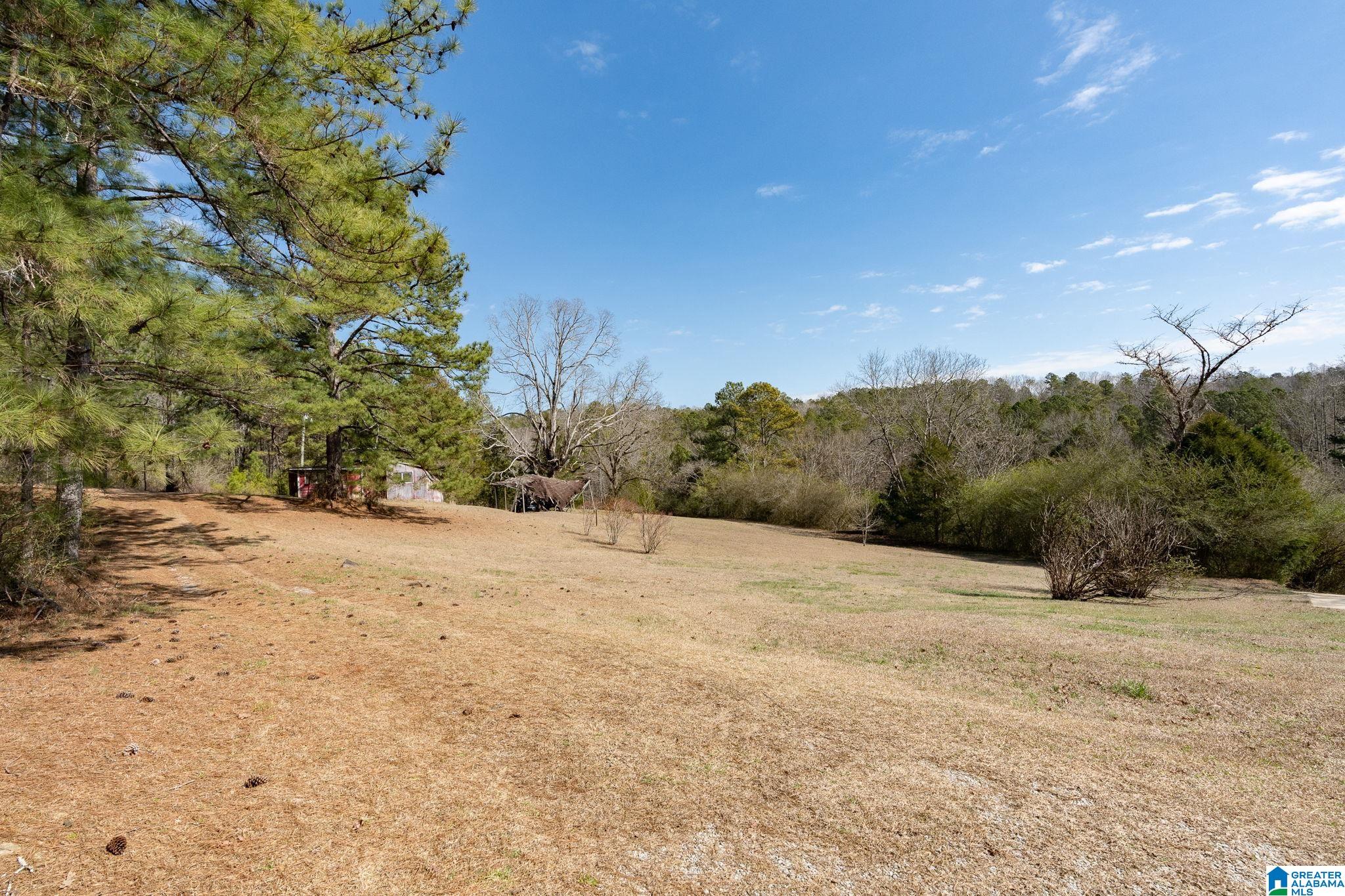 2050 Argo Margaret Road Odenville, AL 35120 - Photo 60 of 61