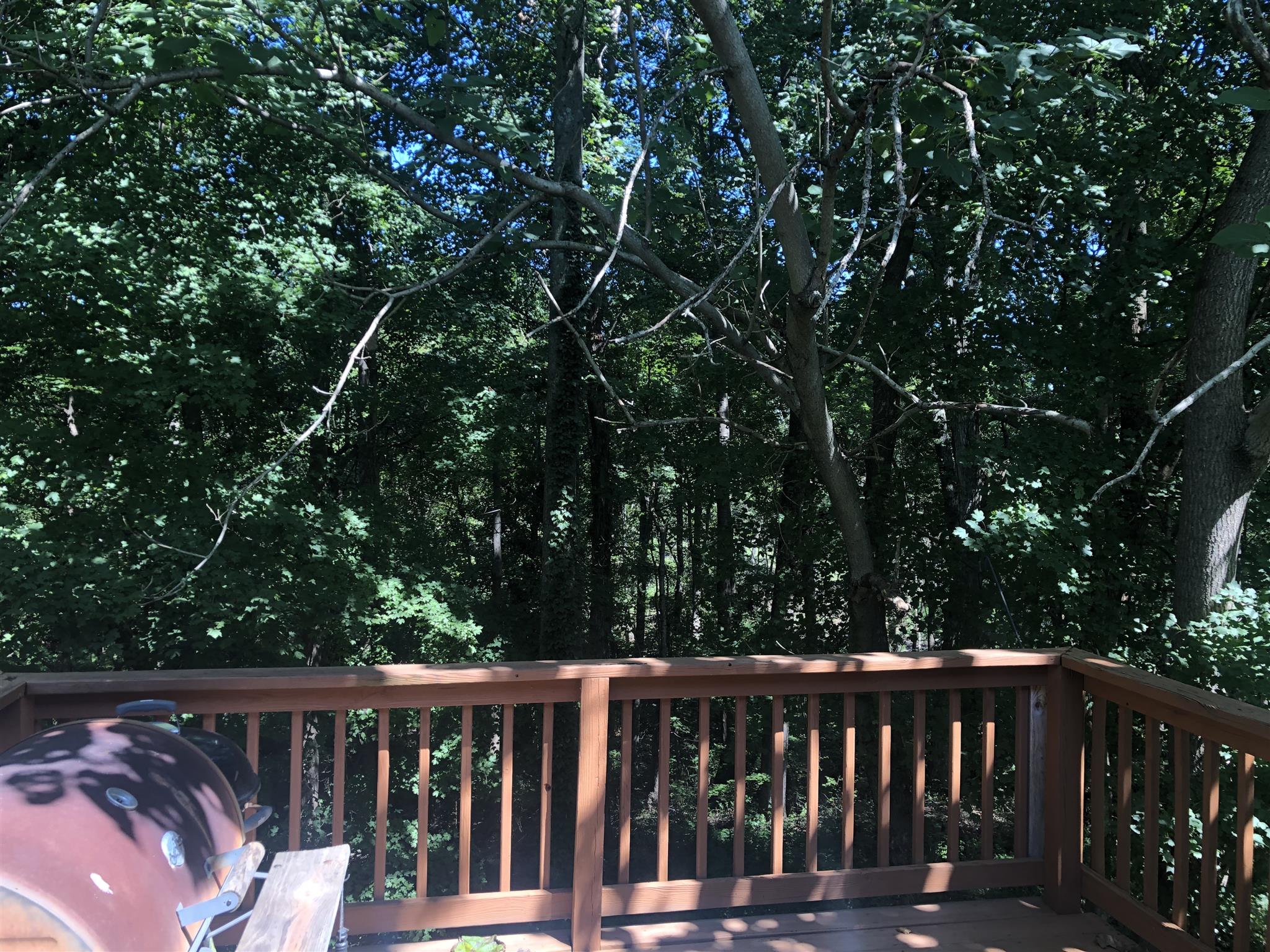 141 Brookside Point Springfield, TN 37172 - Photo 11 of 17 Back deck view