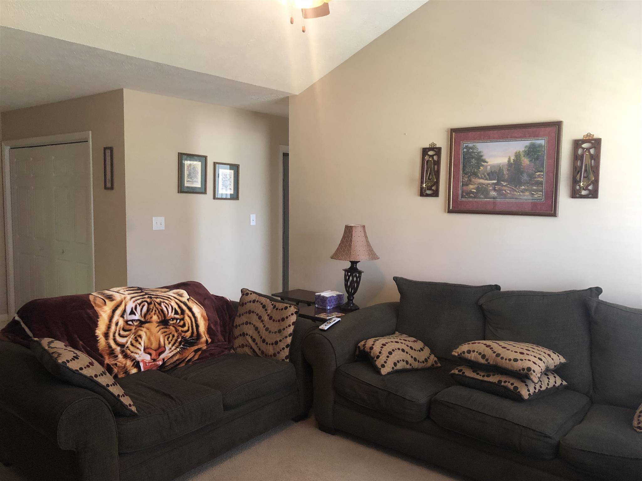 141 Brookside Point Springfield, TN 37172 - Photo 7 of 17