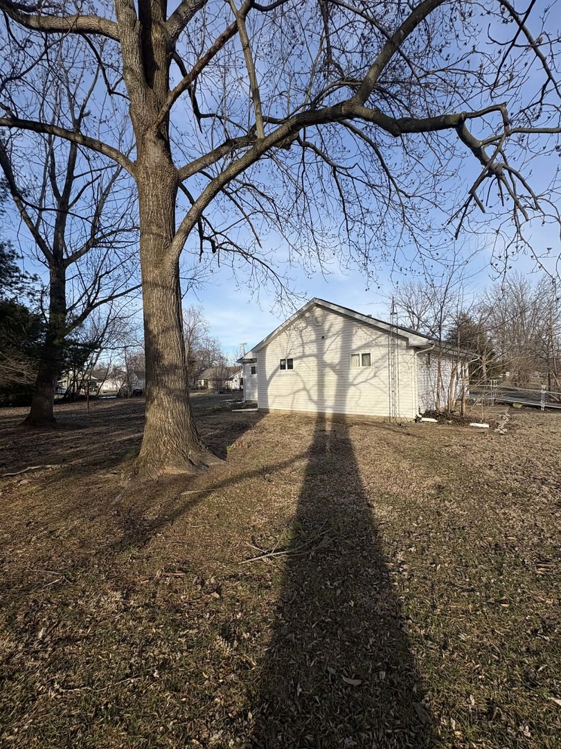 105 East Benedict Valier, IL 62891 - Photo 3 of 17