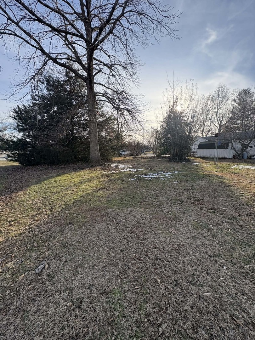 105 East Benedict Valier, IL 62891 - Photo 9 of 17