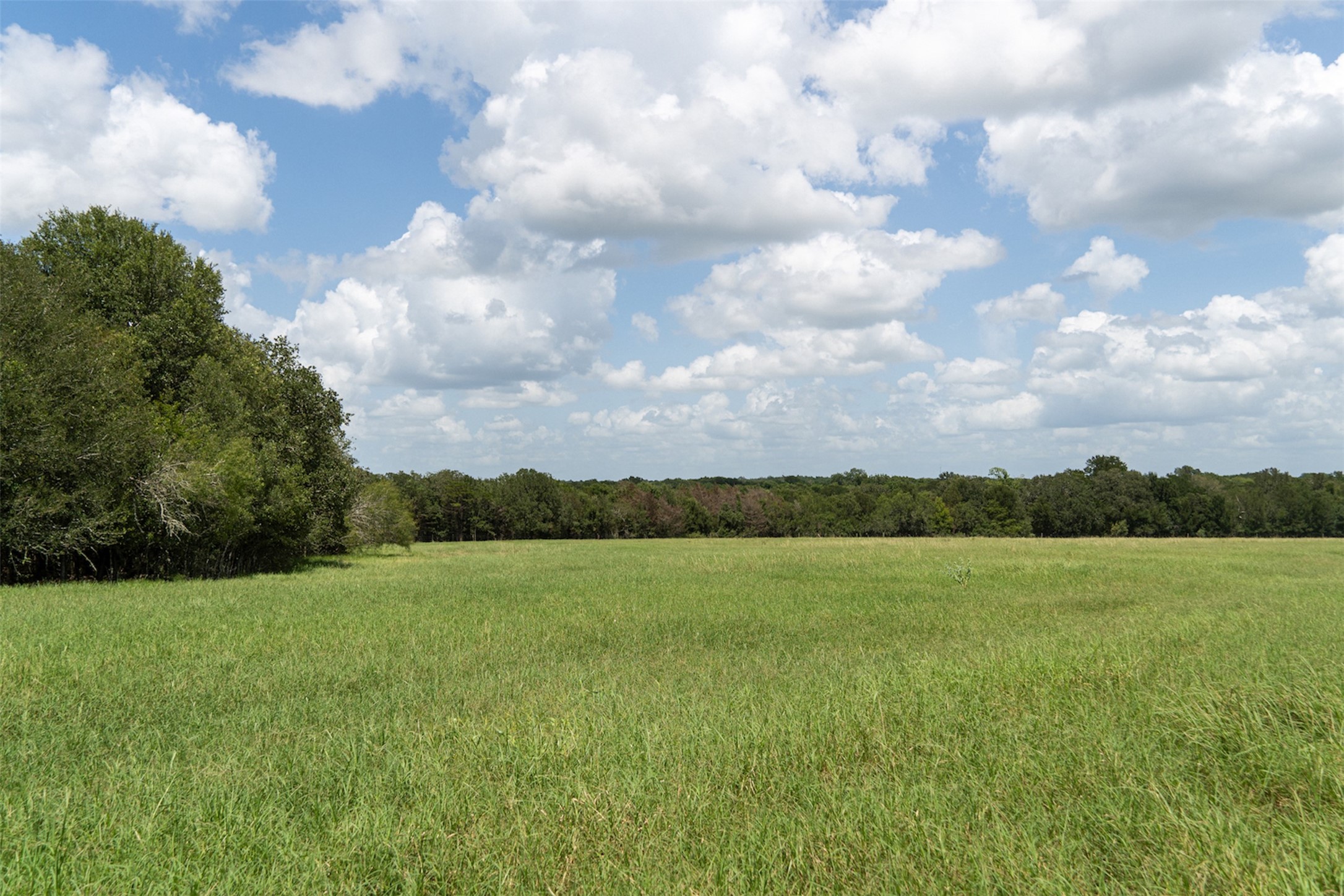 4 St Delight Road Paige, TX 78659 - Photo 9 of 12