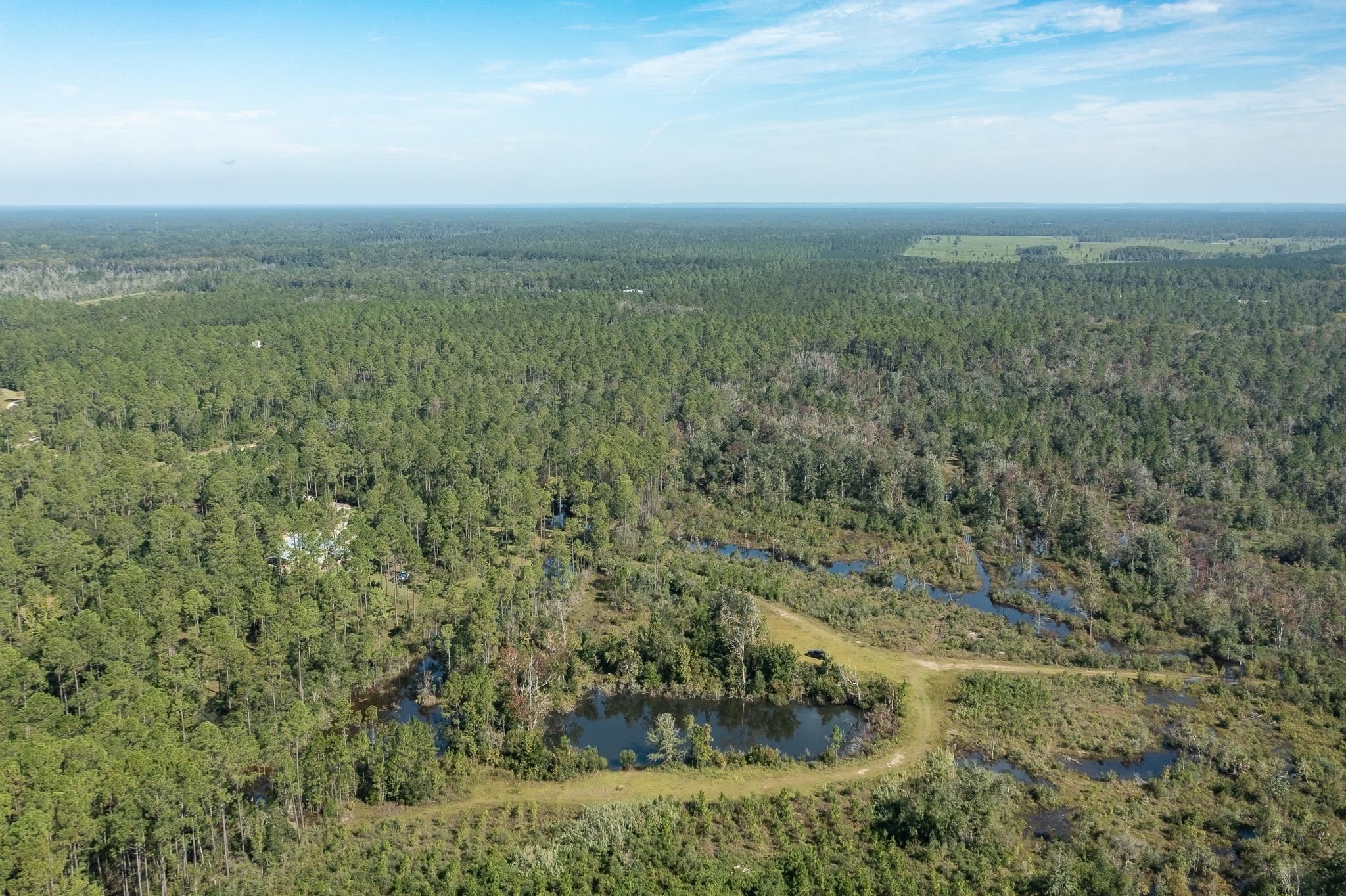 Lot 9 Rock Crusher Road Crawfordville, FL 32327 - Photo 1 of 4