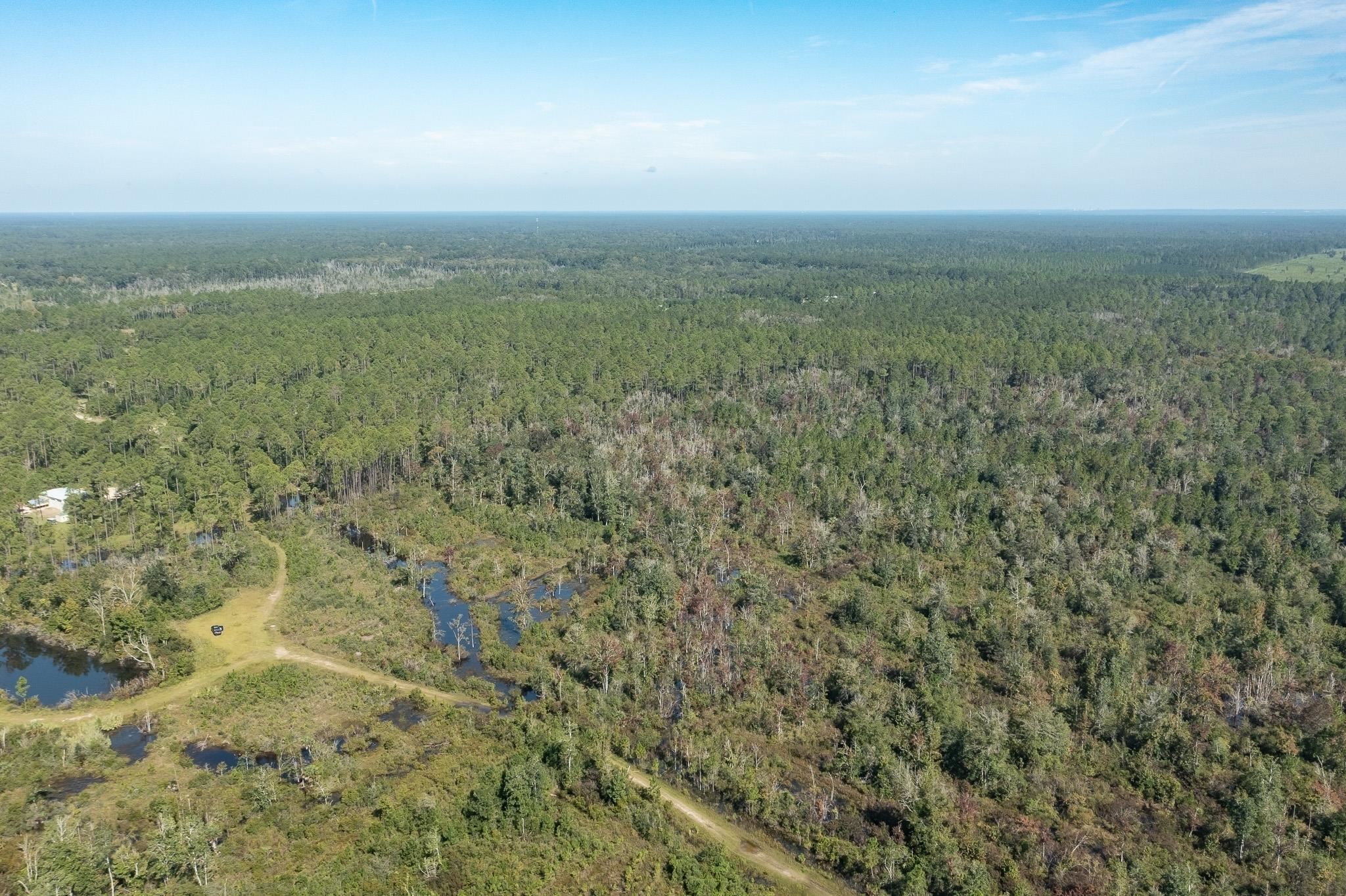 Lot 9 Rock Crusher Road Crawfordville, FL 32327 - Photo 4 of 4