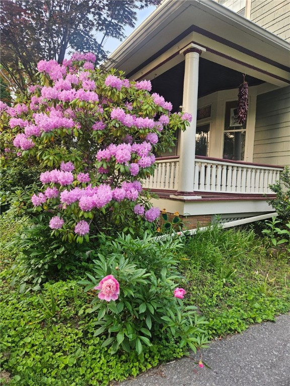 178 Vassar Street Rochester, NY 14607 - Photo 50 of 50