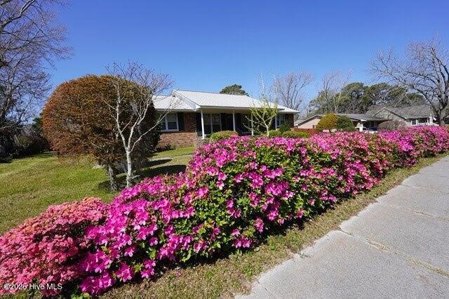 309 Barbour Road Morehead City, NC 28557 - Photo 33 of 44 Front Elevation- Azaleas in Bloom