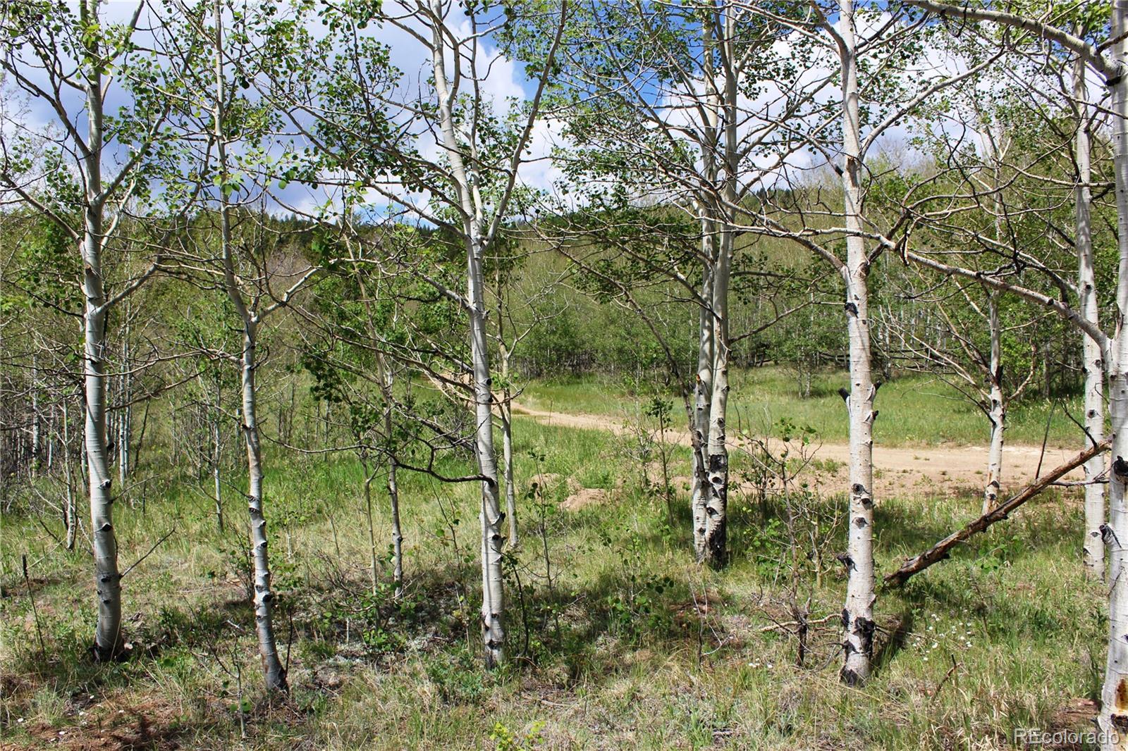 0 Quartz Hill Road Central City, CO 80427 - Photo 16 of 30