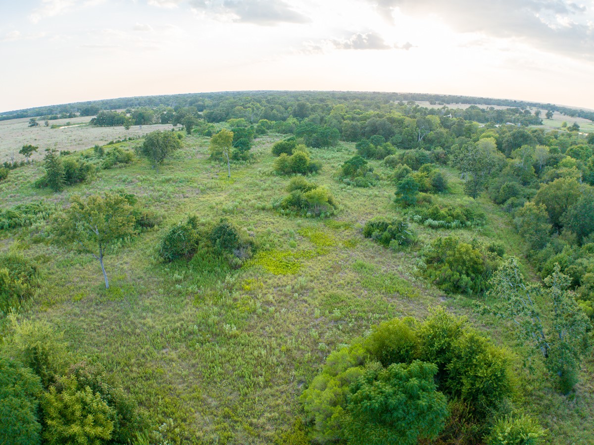 0 Burns Road Midway, TX 75852 - Photo 14 of 29 Gallery Image 14