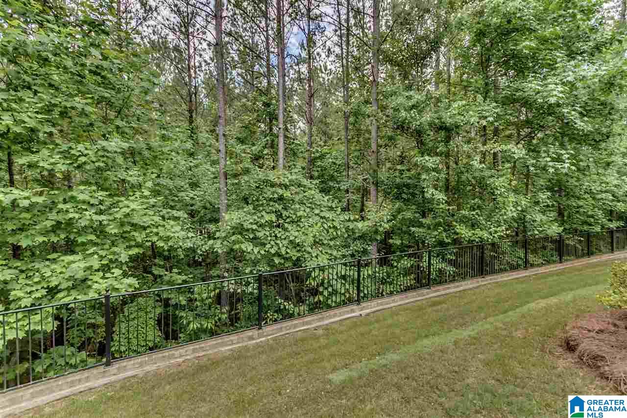 252 Stoneykirk Way Pelham, AL 35124 - Photo 6 of 50