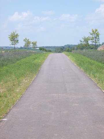 L10 Karolina Way Sun Prairie, WI 53590 - Photo 11 of 23