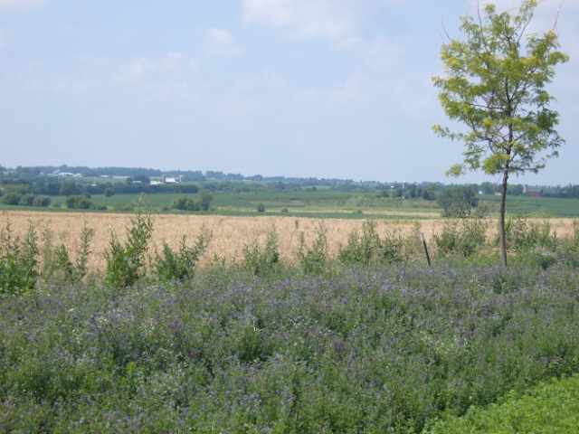 L10 Karolina Way Sun Prairie, WI 53590 - Photo 13 of 23