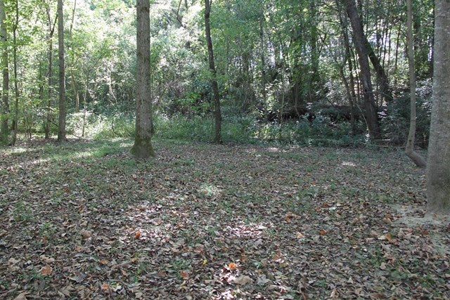 154 Bayles Road Glasgow, KY 42141 - Photo 22 of 34 Gallery Image 22