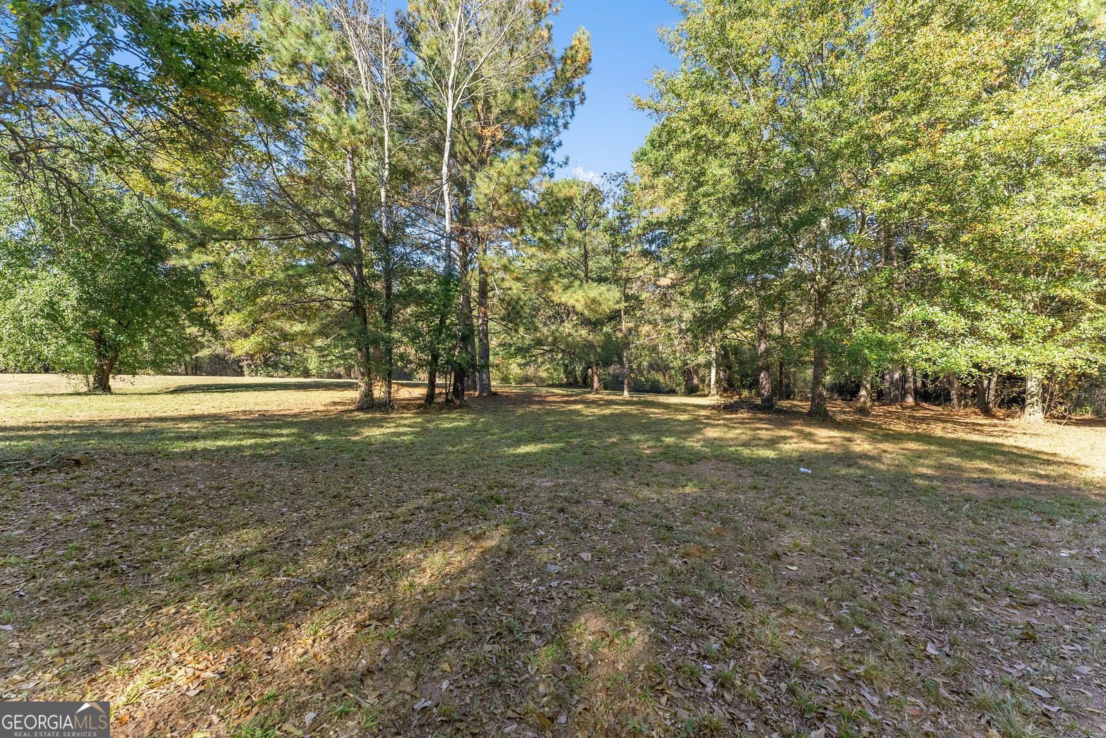 5830 Maysville Road Commerce, GA 30529 - Photo 6 of 12 a view of outdoor space with trees