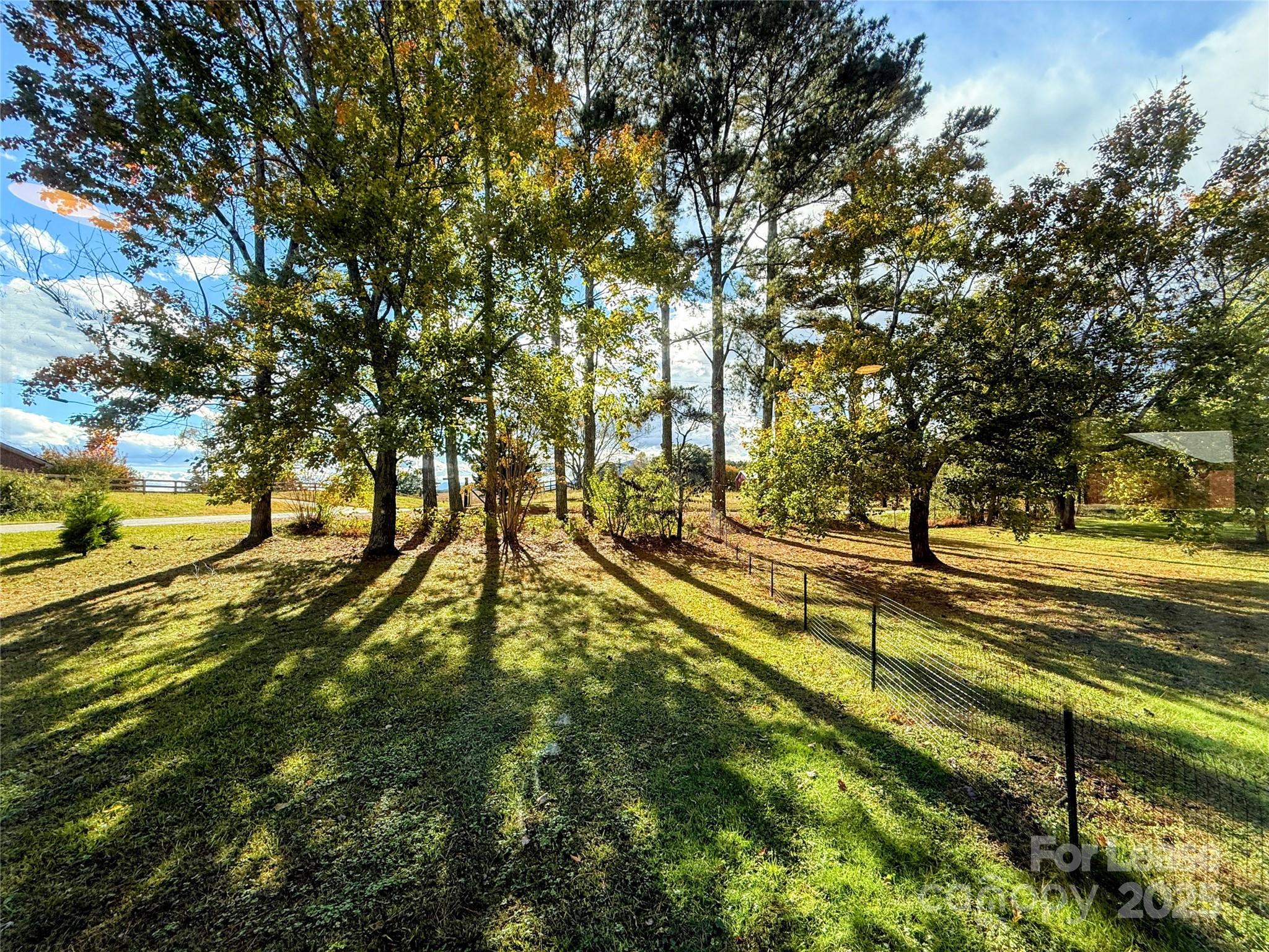 7135 Nc Highway Mill Spring, NC 28756 - Photo 28 of 28 a view of yard with large trees