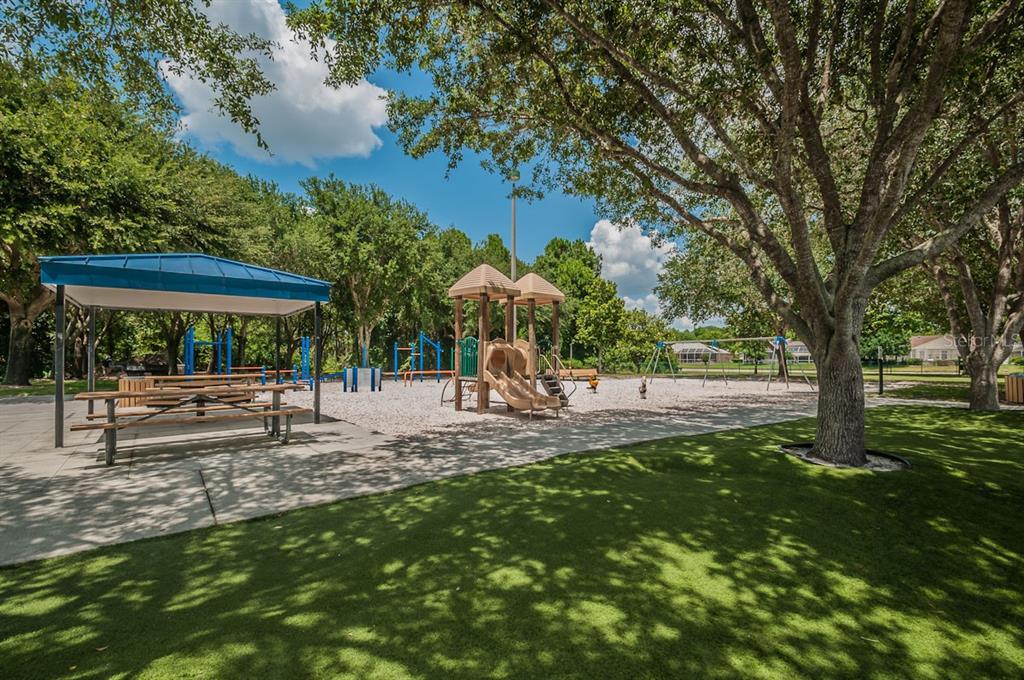 3944 Silk Oak Lane Palm Harbor, FL 34685 - Photo 54 of 60 Gallery Image 54
