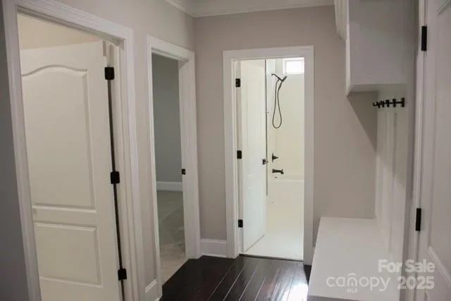 a view of a backyard with large trees