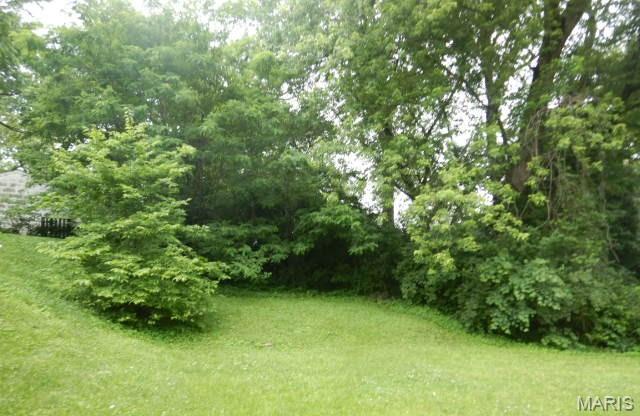 220 Ruggles Road St. Louis, MO 63135 - Photo 3 of 11 Gallery Image 3