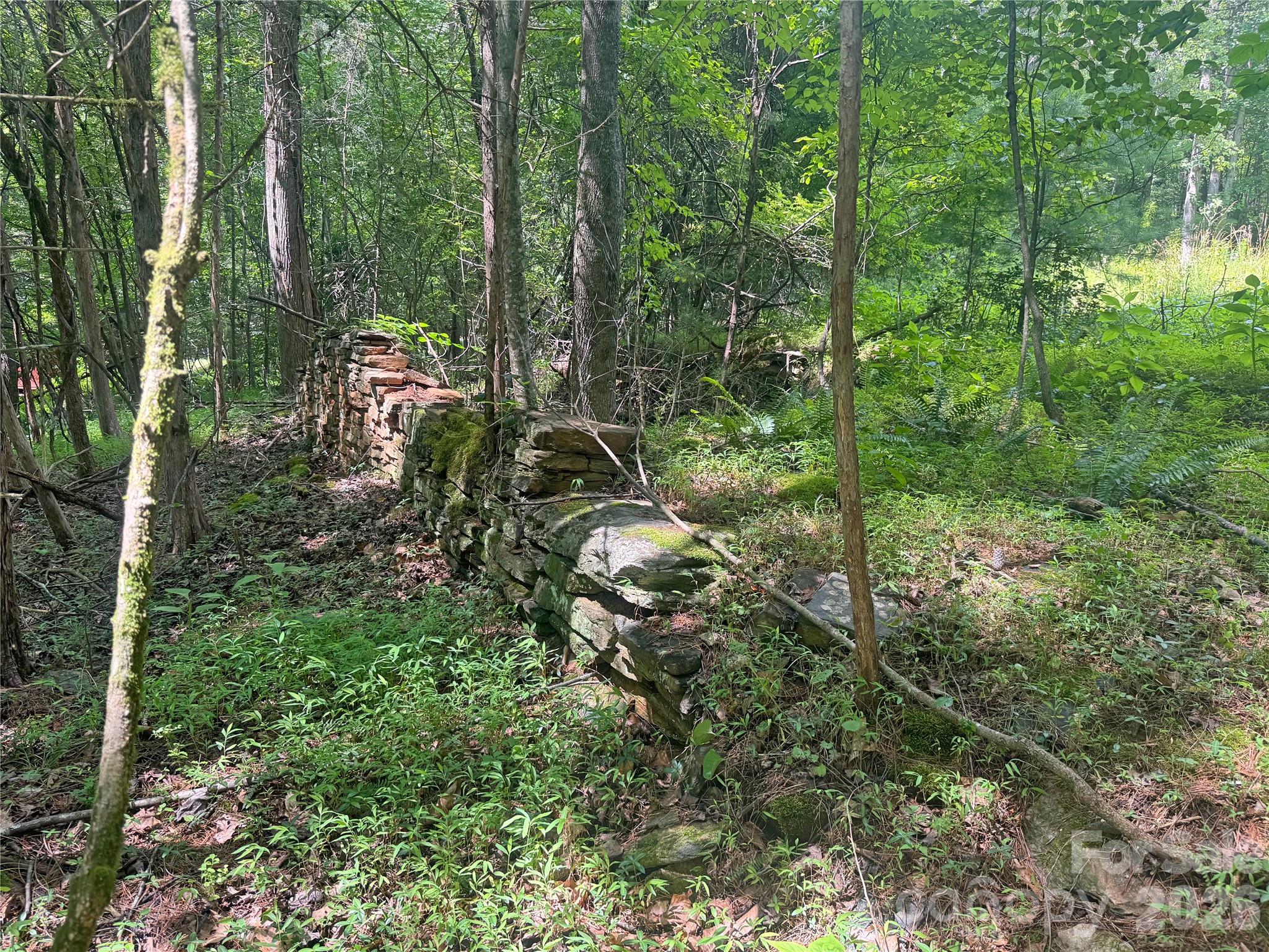 173 Croom Hollow Road Nebo, NC 28761 - Photo 44 of 44