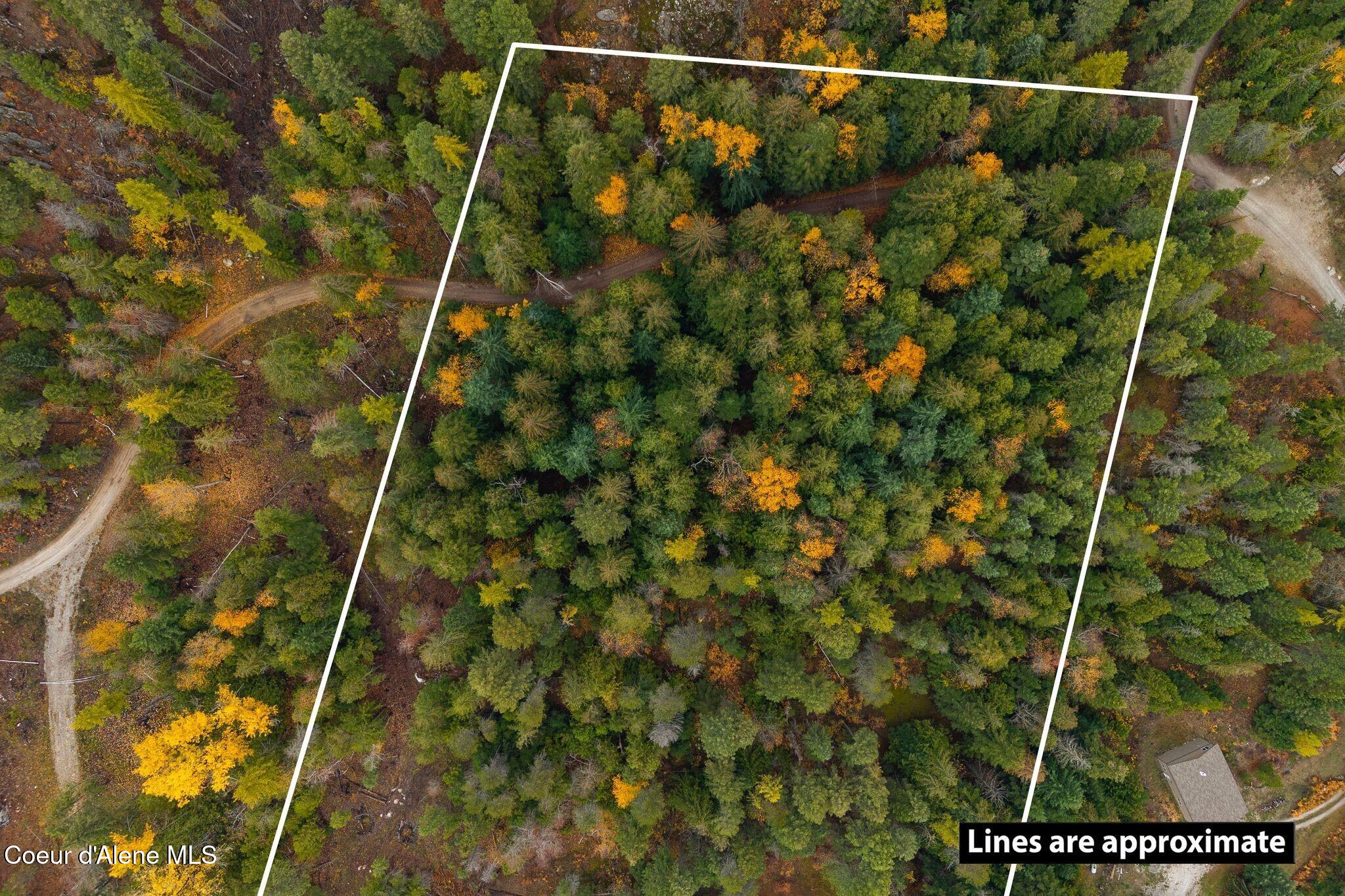 Rogers Road Sandpoint, ID 83864 - Photo 2 of 37 Treed Property