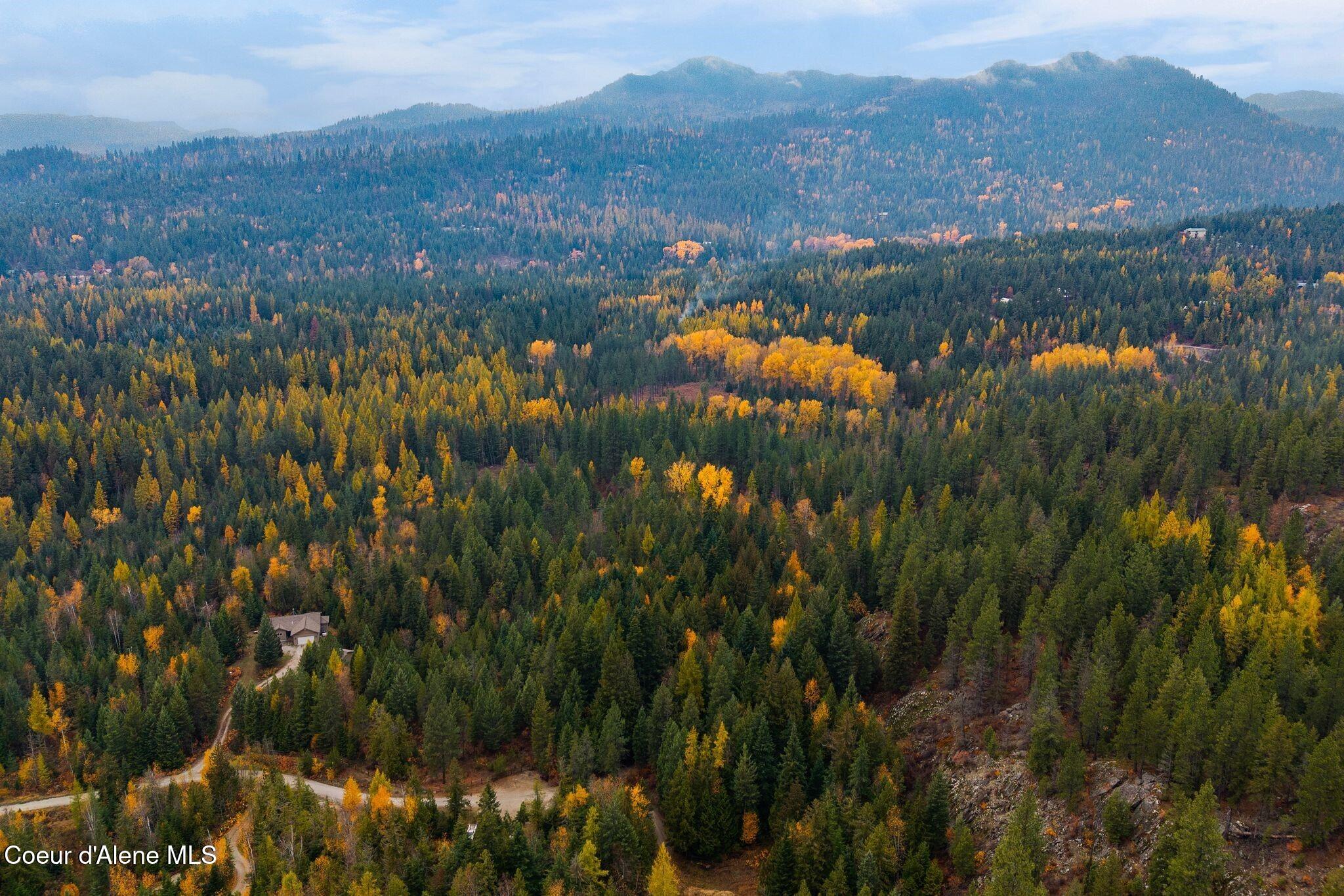 Rogers Road Sandpoint, ID 83864 - Photo 3 of 37 Ideal North Idaho Setting