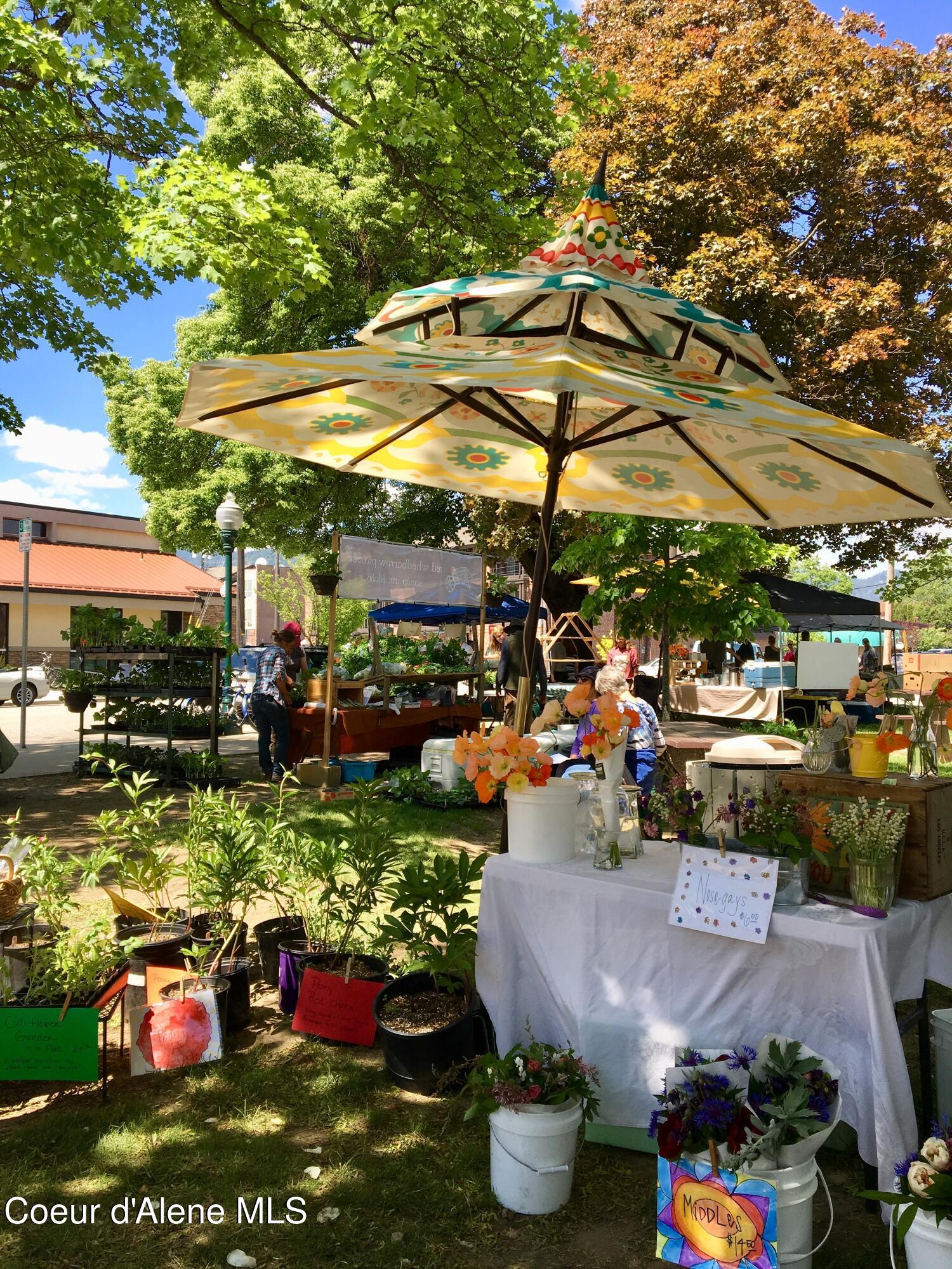 Rogers Road Sandpoint, ID 83864 - Photo 33 of 37 Coveted Sandpoint