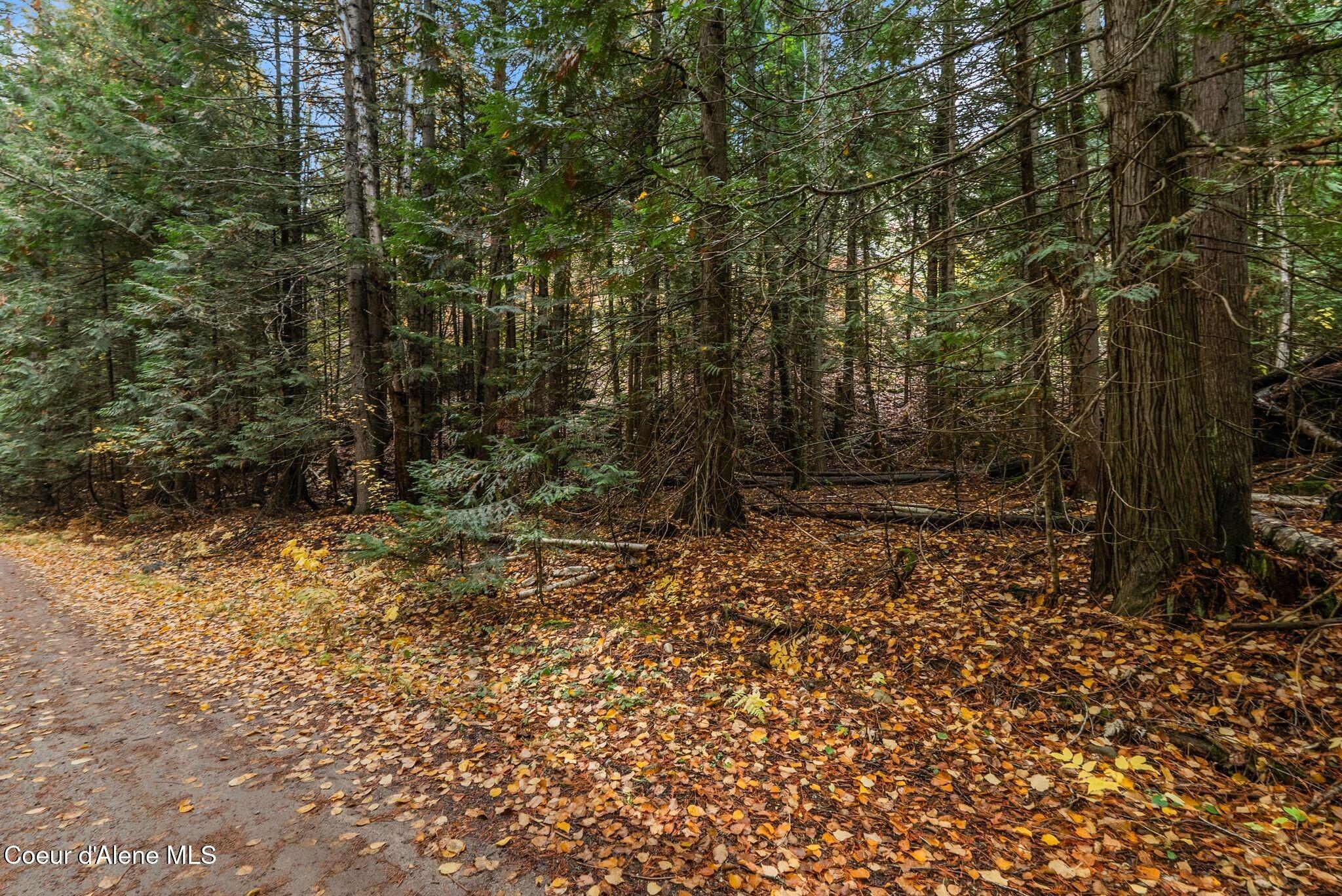 Rogers Road Sandpoint, ID 83864 - Photo 8 of 37 Enjoy All 4 Seasons