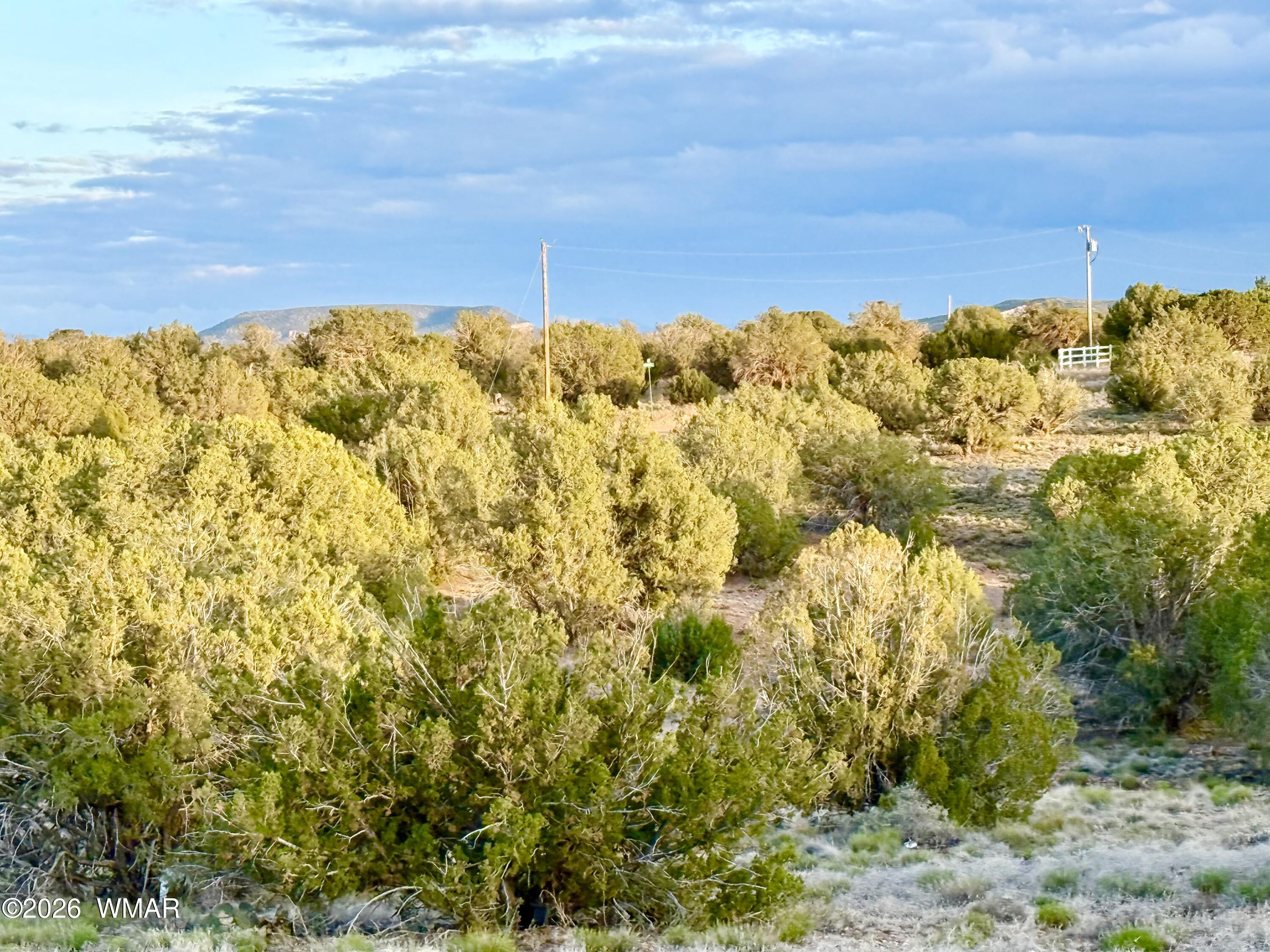 4428 Colt Road Snowflake, AZ 85937 - Photo 17 of 22 IMG_6166
