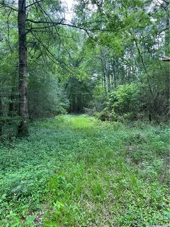 $325,000 | 0 Passman Road, Loranger, LA 70446
