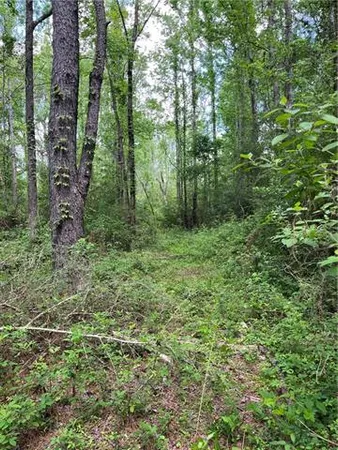 $325,000 | 0 Passman Road, Loranger, LA 70446