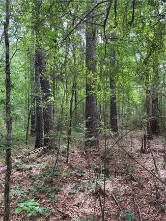 $325,000 | 0 Passman Road, Loranger, LA 70446