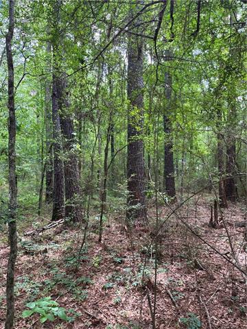 0 Passman Road Loranger, LA 70446 - Photo 16 of 17