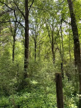 $325,000 | 0 Passman Road, Loranger, LA 70446