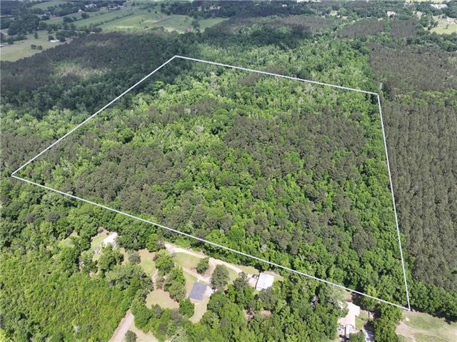 0 Passman Road Loranger, LA 70446 - Photo 3 of 17