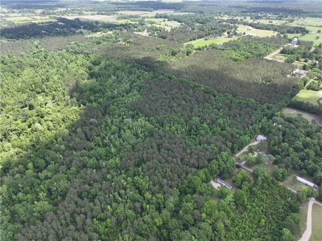 0 Passman Road Loranger, LA 70446 - Photo 4 of 17