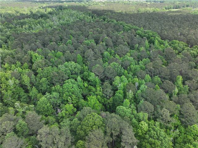 0 Passman Road Loranger, LA 70446 - Photo 5 of 17