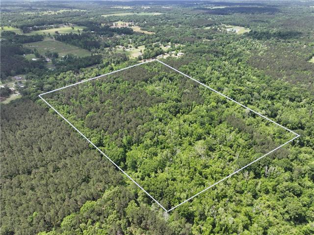 0 Passman Road Loranger, LA 70446 - Photo 7 of 17