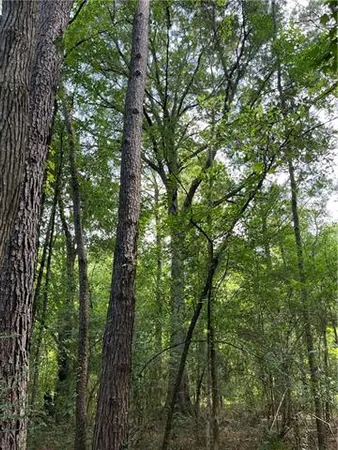 $325,000 | 0 Passman Road, Loranger, LA 70446