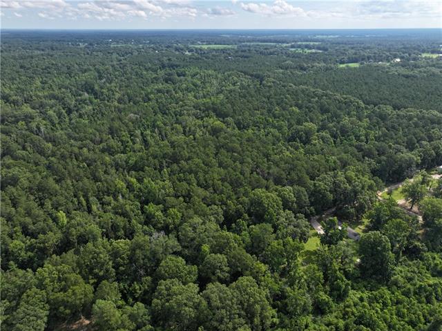 0 Passman Road Loranger, LA 70446 - Photo 9 of 17