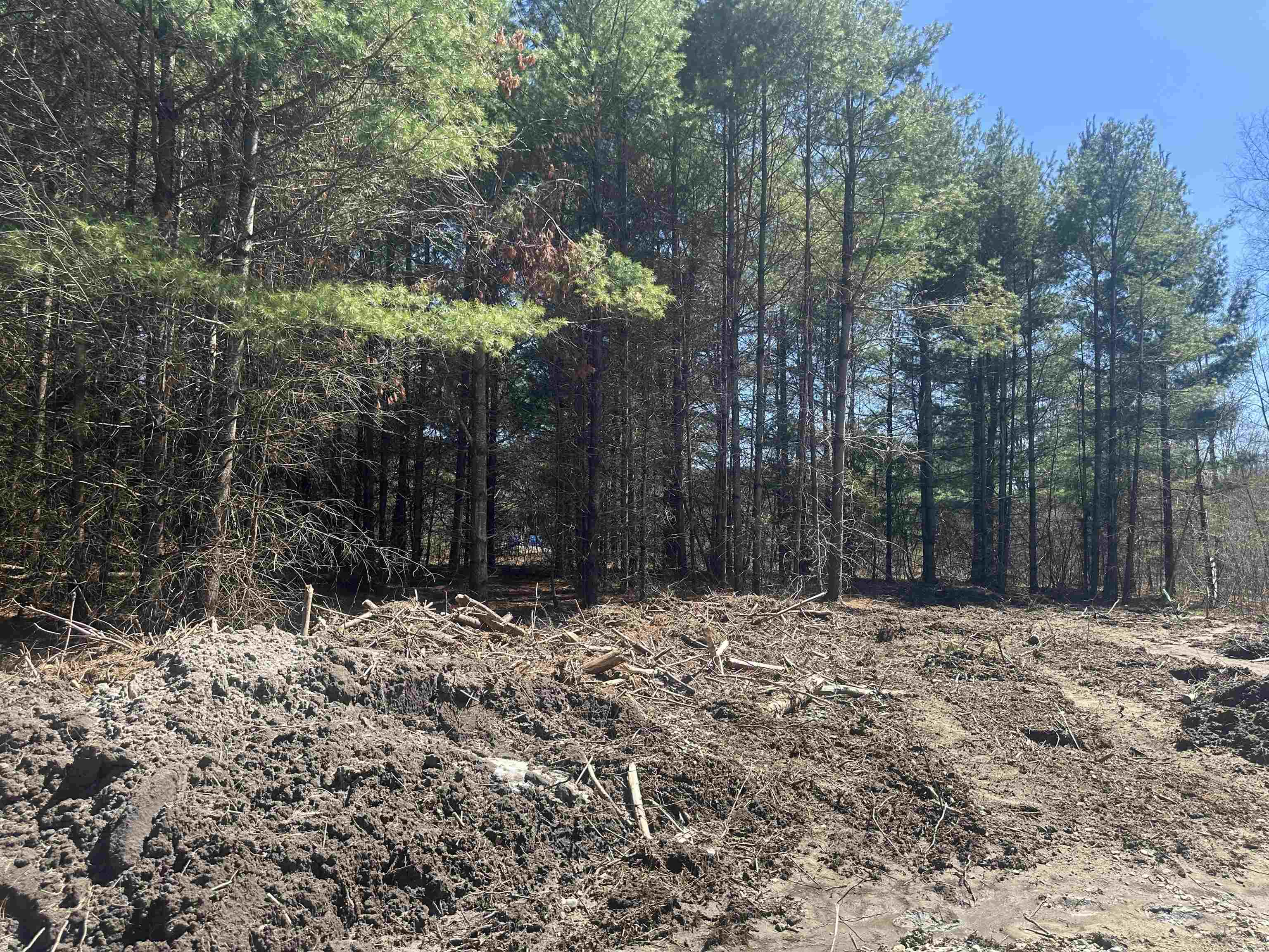 9 Rydon Acres Brandon, VT 05733 - Photo 6 of 17