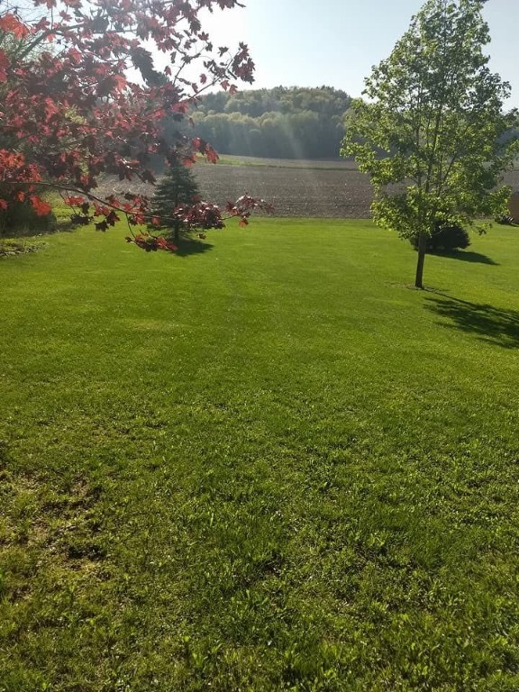 W10348 Prindle Road Merrillan, WI 54754 - Photo 41 of 45