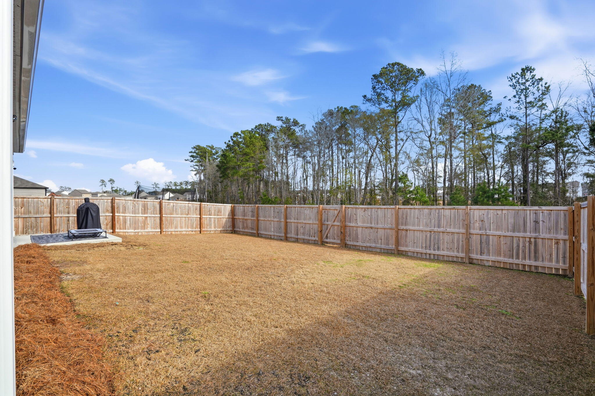 153 Ivory Shadow Road Summerville, SC 29486 - Photo 22 of 31 Private Back Yard