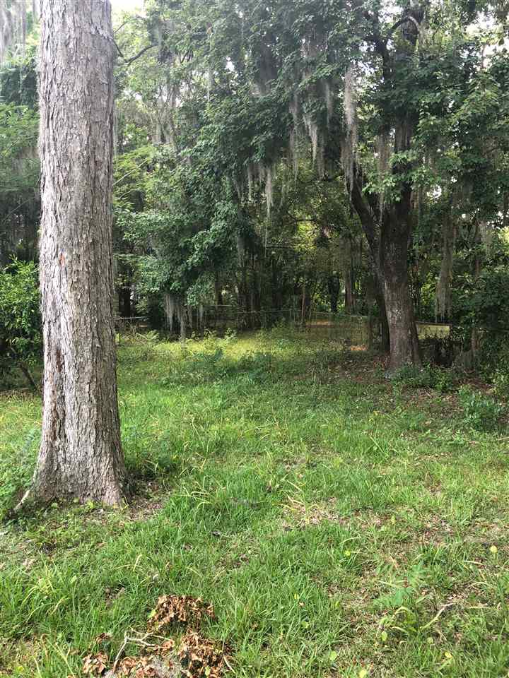 111 Cypress Road Perry, FL 32348 - Photo 3 of 30